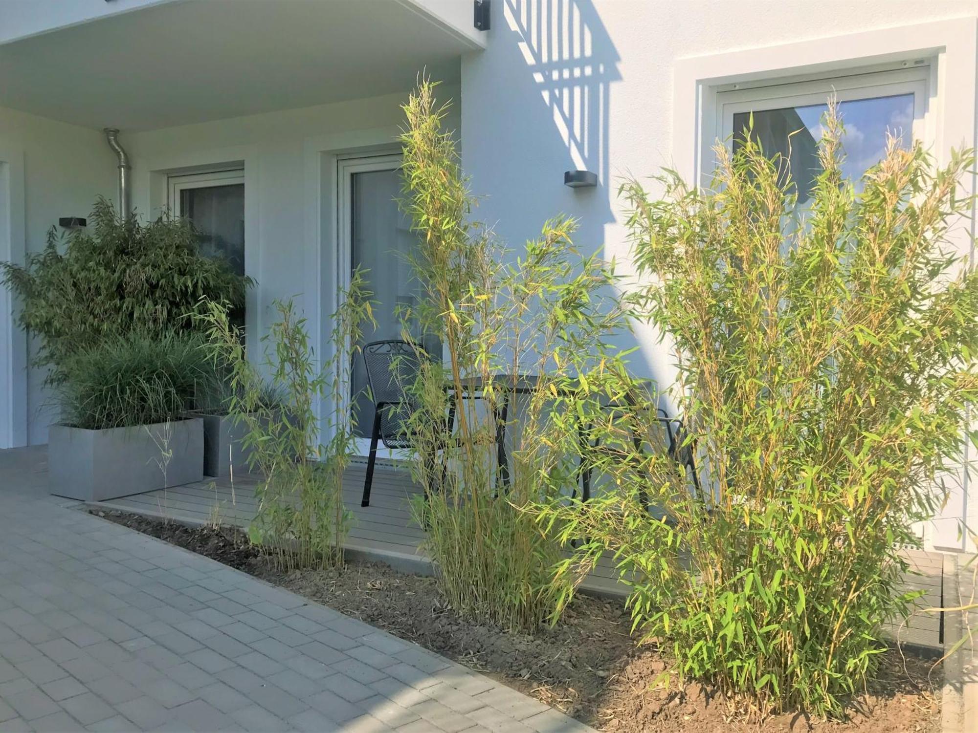 App 6, Strandresidenz Duenenperle Ostseebad Kühlungsborn Esterno foto